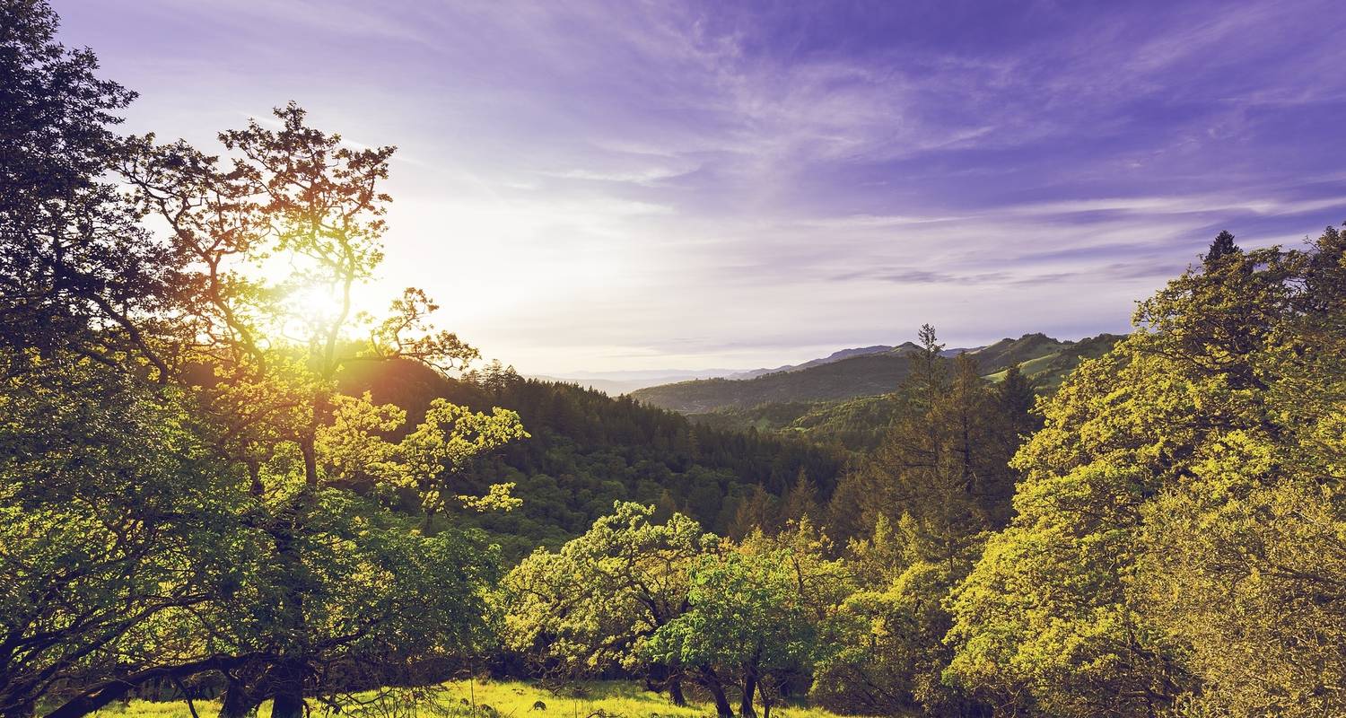 Sonoma & Napa Valley Bike Tour - Black Sheep Adventures