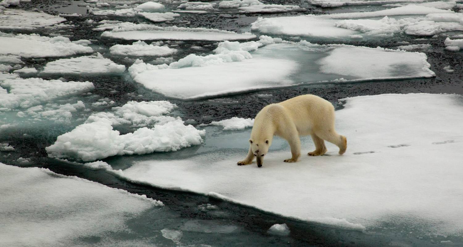 Introduction to Spitsbergen: Fjords, Glaciers and Wildlife of Svalbard - Quark Expeditions