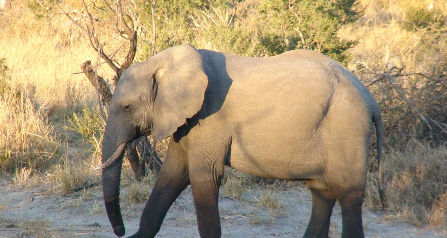 The Kaokoland / Skeleton Coast Safari Trail - Desert Magic Tours CC