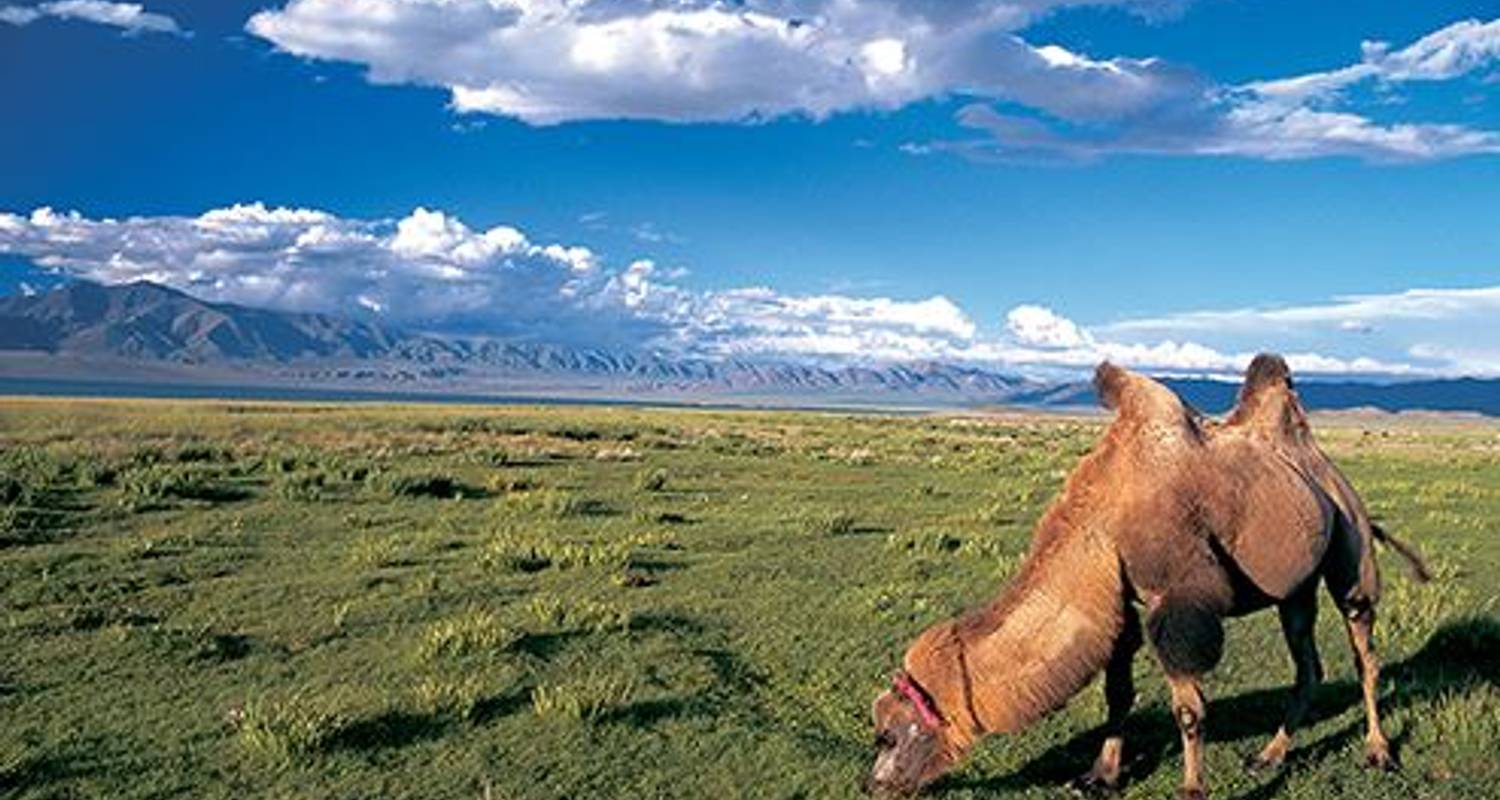 Trans Mongolian Express - Sundowners Overland
