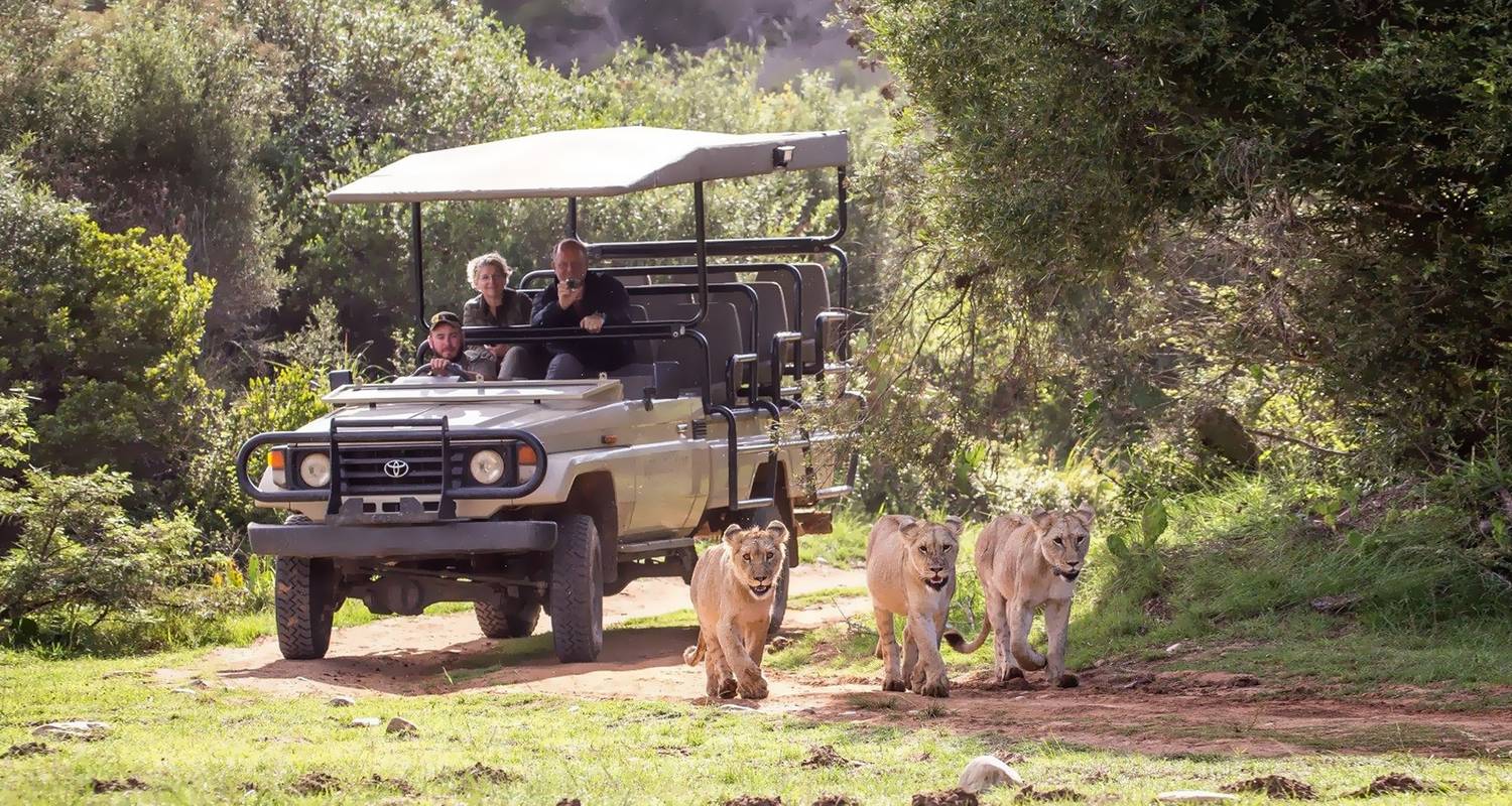 Buffelsdrift Western Cape Glamping Safari - Hotspots2c