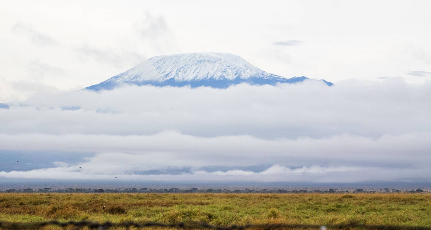 Safari de luxe de quatre jours pour l'éléphant rouge - Tsavo West et Amboseli - Jeep Safaris and Tours