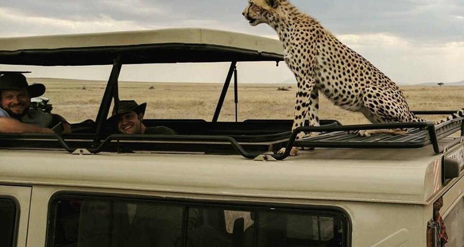 4 days Wildlife Safari in Serengeti, Tarangire & Ngorongoro Crater - Barafu Tours & Safaris
