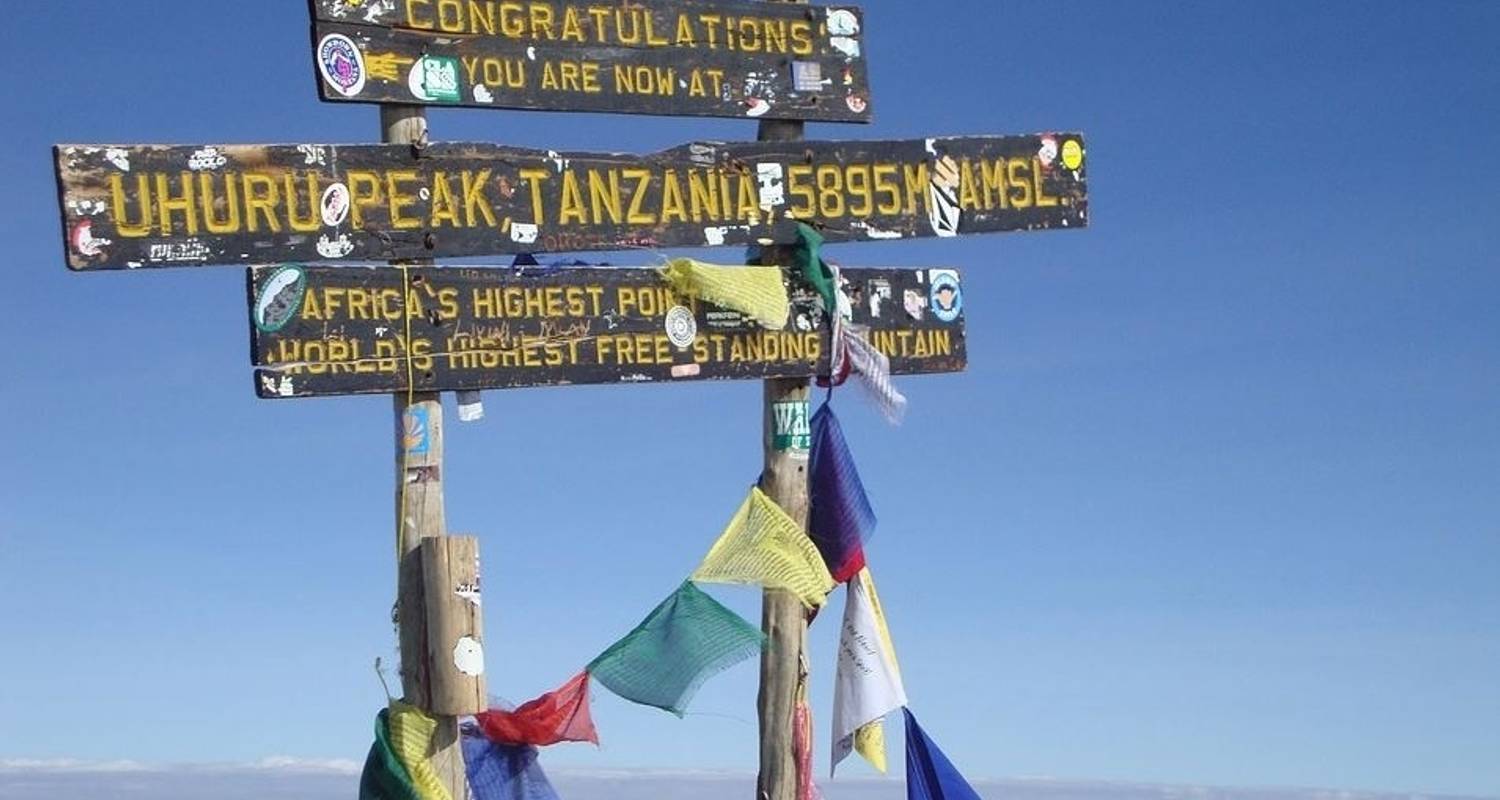Climbing Mount Kilimanjaro via Rongai Route - 9 Days - Jeep Safaris and Tours