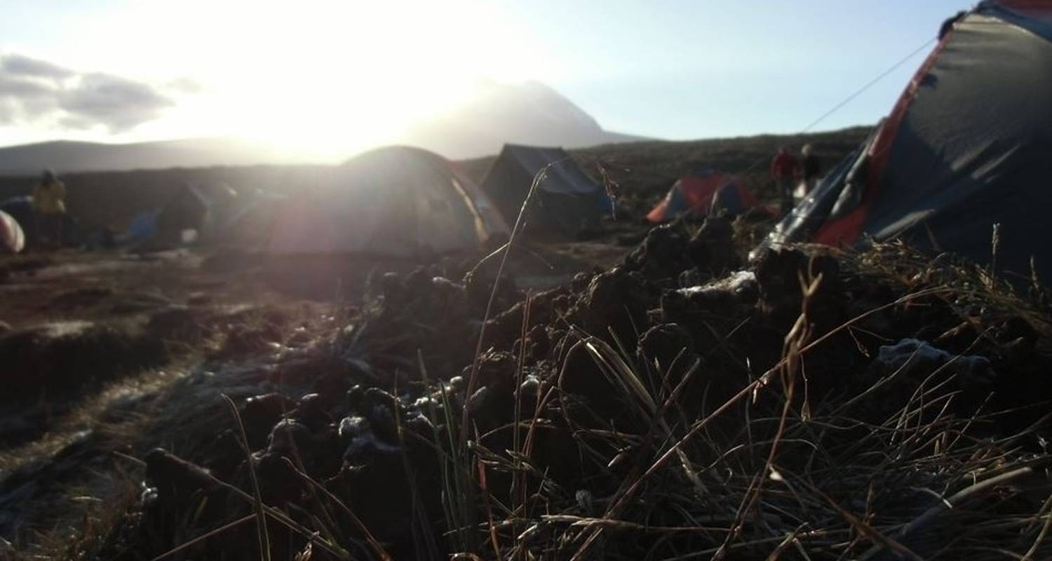 Mount Kilimanjaro Climbing via Lemosho Route - 9 Days - Jeep Safaris and Tours