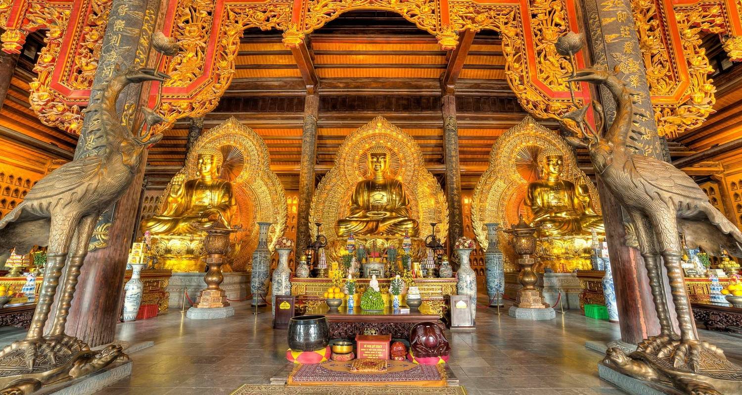 Luxury Trang An - Bai Dinh Pagoda - Mua Cave Full-day Trip by Limousine - Crossing Vietnam Tour