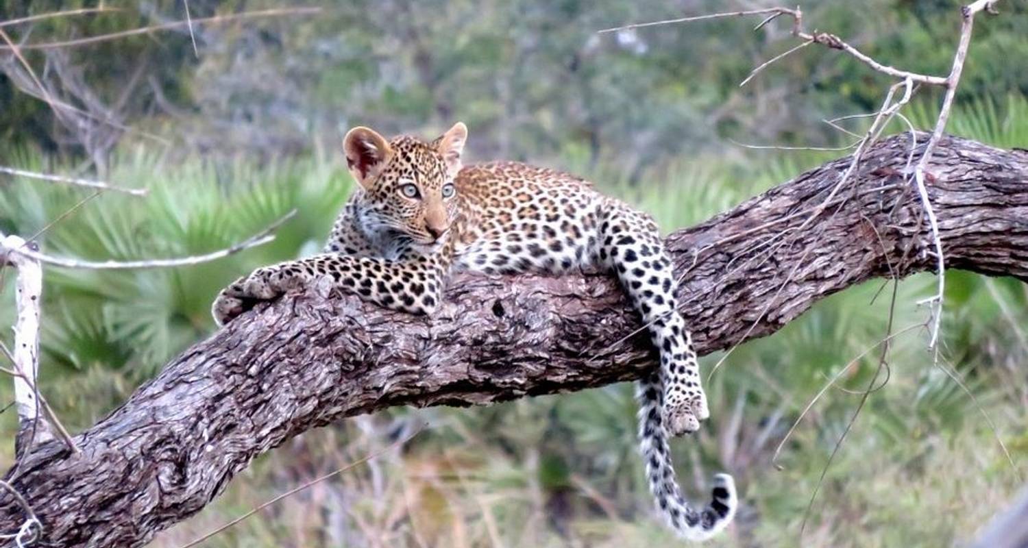 10-Day From Kenya to Tanzania with Love - (Mid-Range ) - Orongai Africa Safari