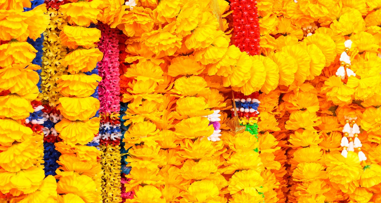 Triángulo de Oro con Haridwar y Rishikesh, Supersalvador - Le Passage to India