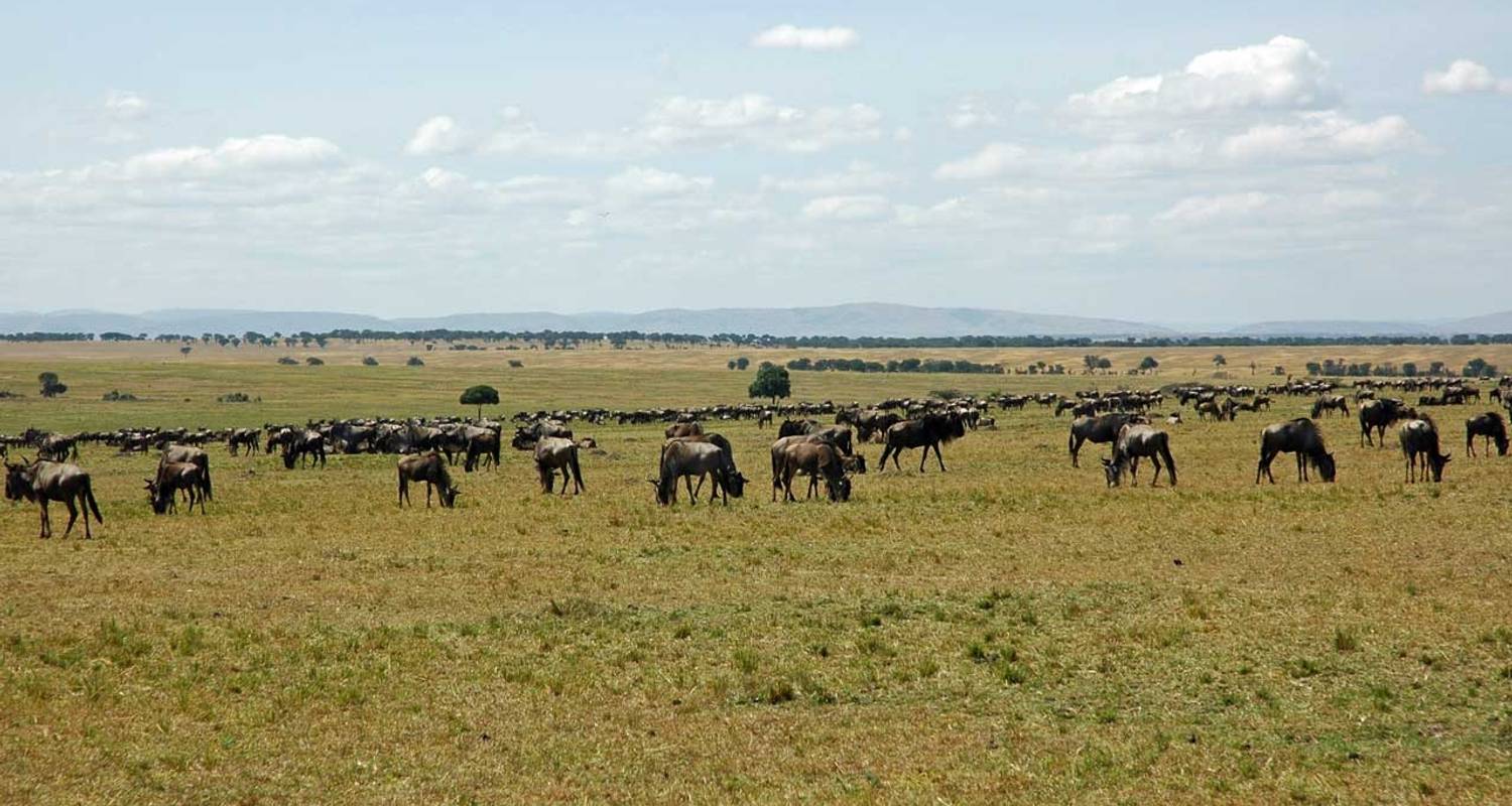 East Africa and Ngorongoro Crater - 14 Days - Orongai Africa Safari