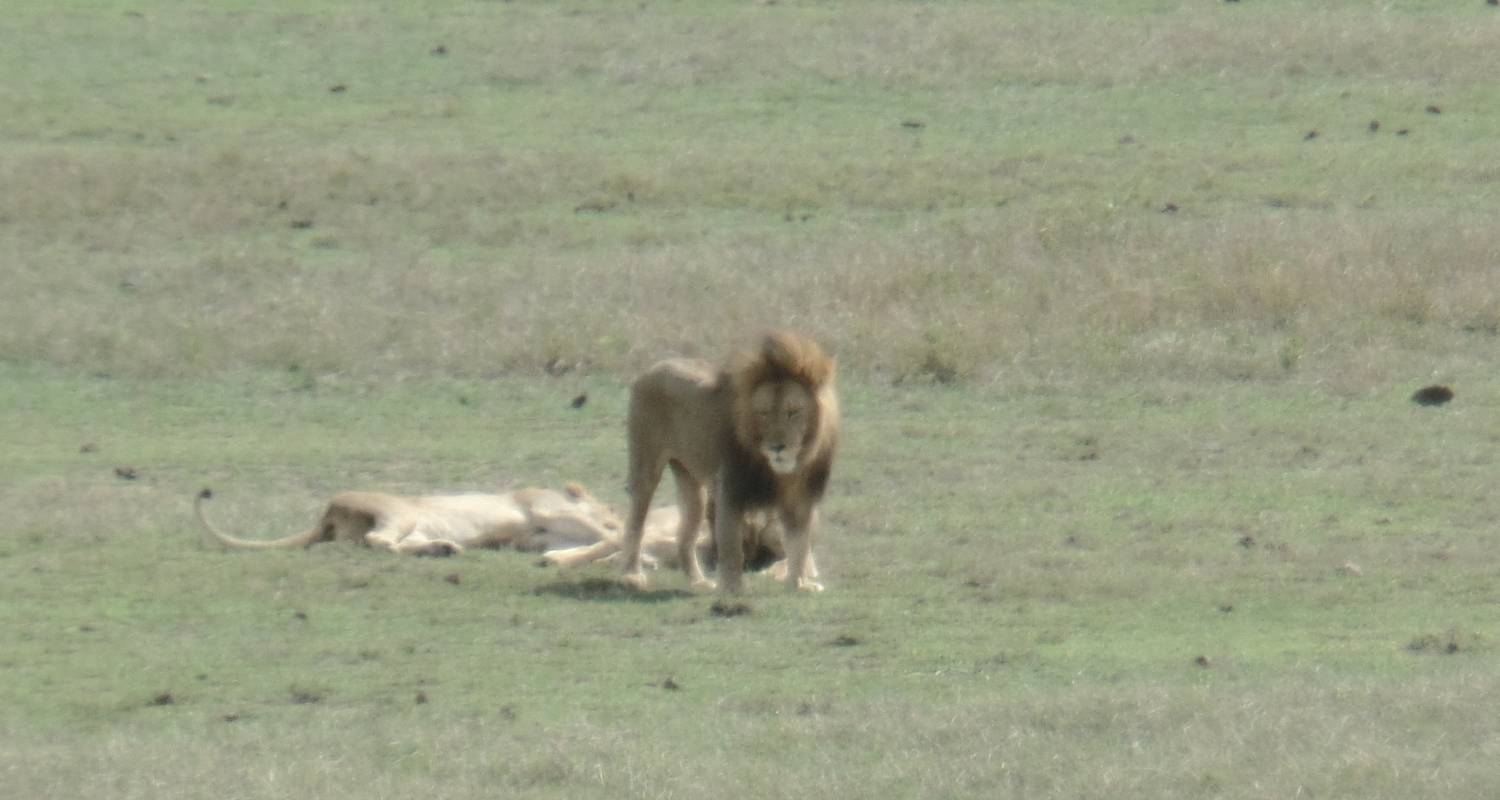 3 -Day / 2 Nights Holiday in Zanzibar - Orongai Africa Safari