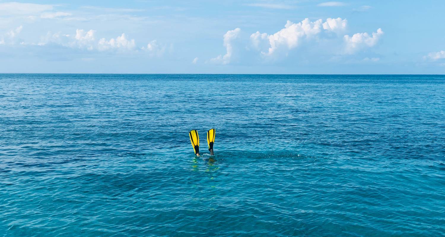 Florida Tour and Cruise to Grand Bahama - American leisure tours