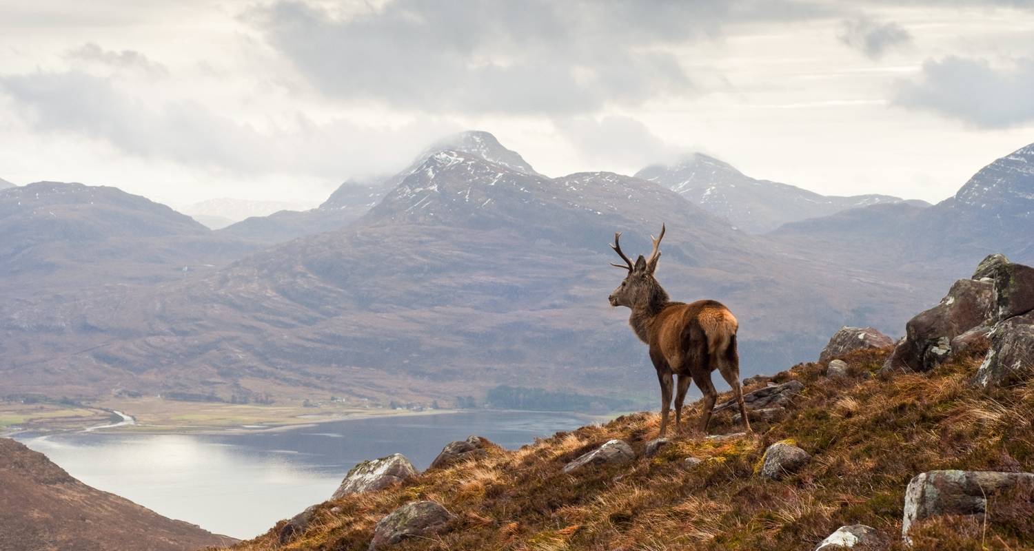 Orkney, Ullapool and the Northern Highlands from Edinburgh - Timberbush Tours