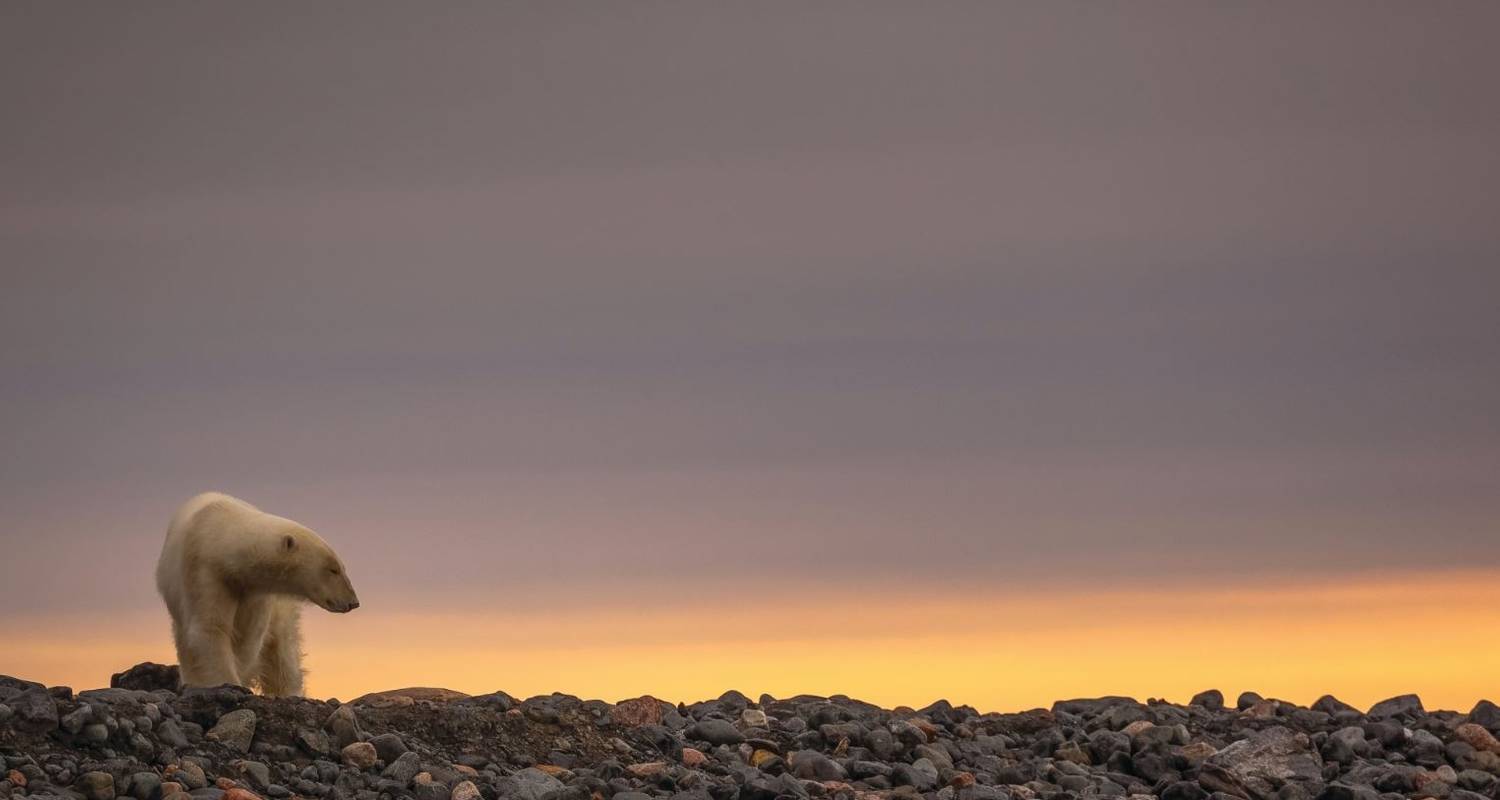 Franz Josef Land (feat.Novaya Zemlya) (from Kirkenes to Murmansk). Greg Mortimer - Aurora Expeditions