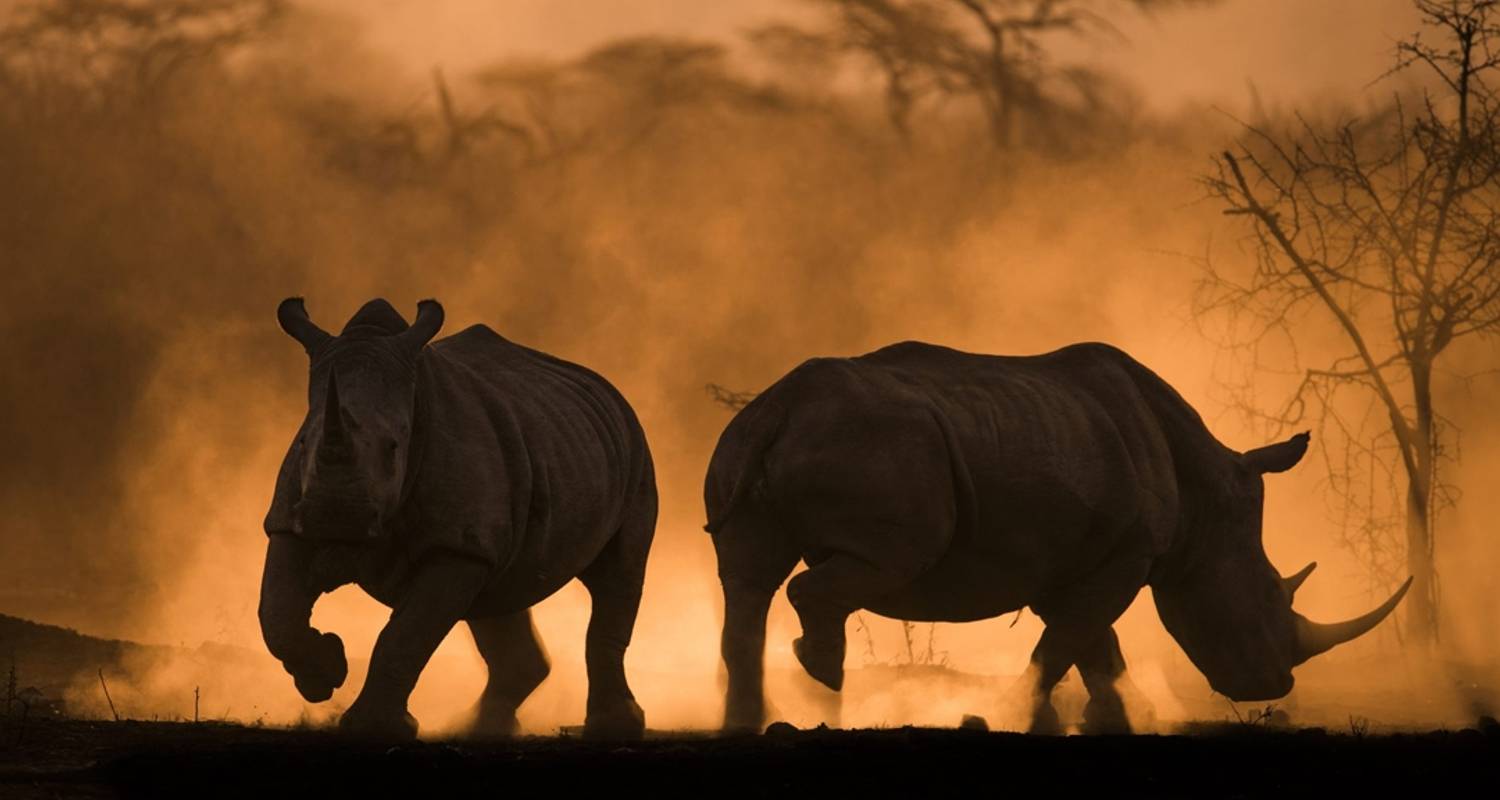 3 Days: Unforgettable Budget Camping (Tarangire, Manyara & Ngorongoro) In Tanzania - Seven Wonders Safaris