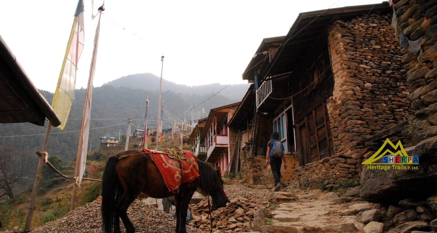 Langtang Valley & Tamang Heritage Trail - Sherpa Heritage Trails
