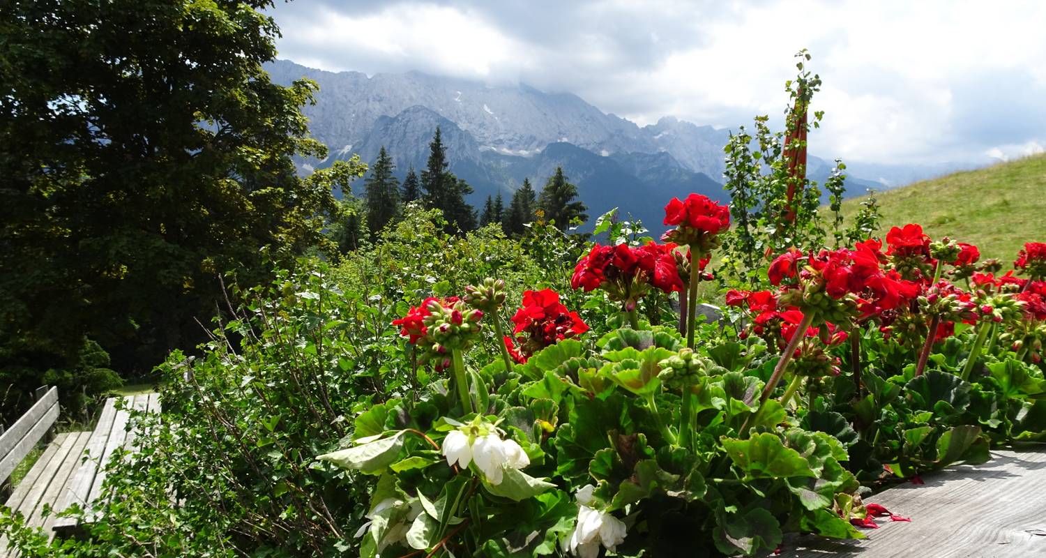 From Garmisch to Merano with Charm - Eurohike