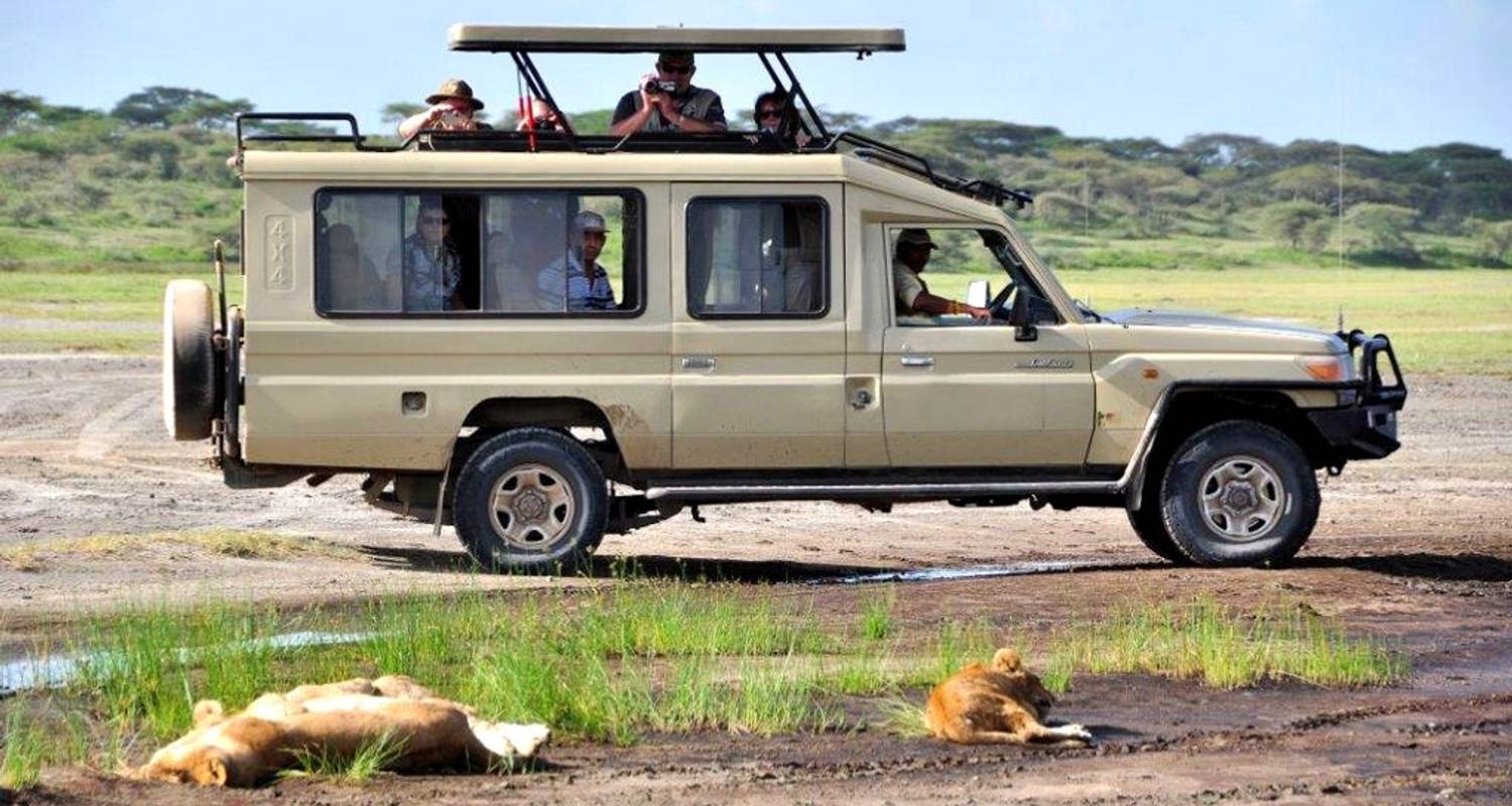 5 Days Ruaha Mikumi Adventure - Zepisa African Safaris