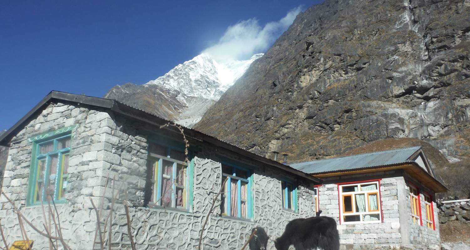 Langtang Valley Trek 11 Days - Third Rock Adventures Pvt. Ltd.