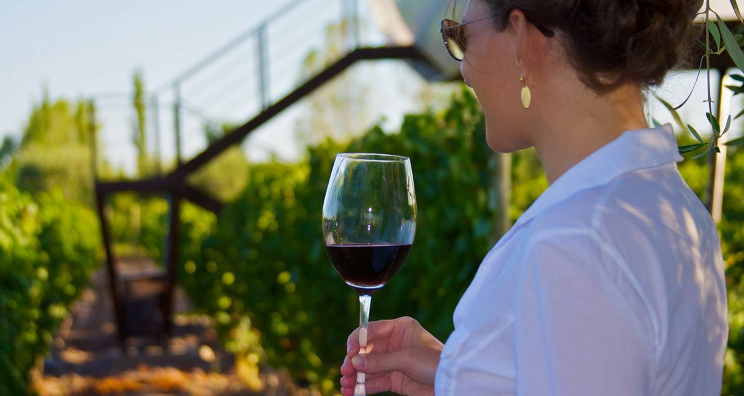 Mendoza, Land of Sun & Good Wine - Trips SouthAmerica