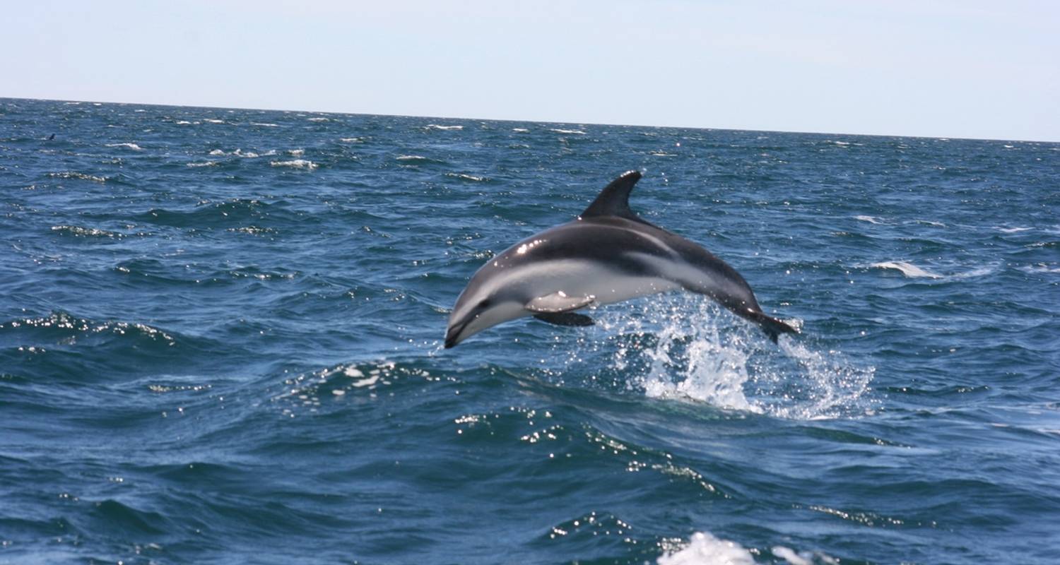 Puerto Madryn, Ecological Sanctuary - Trips SouthAmerica