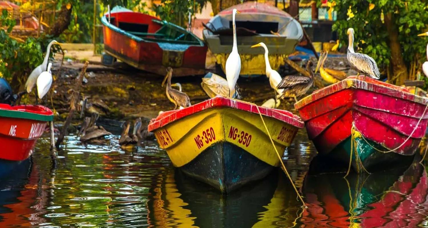 Caribbean Tours for Solo Travelers