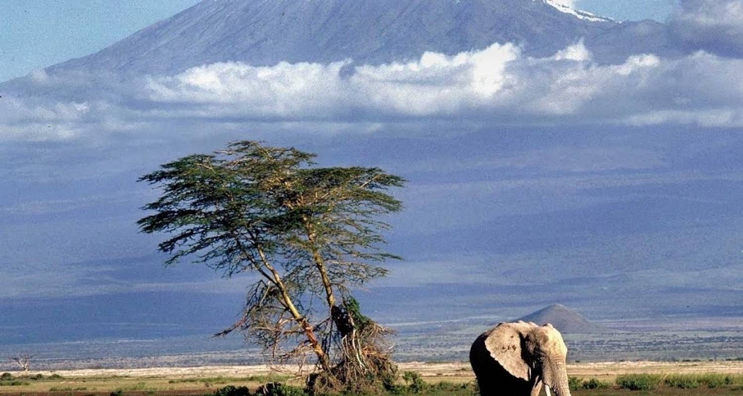 Mt. Kilimanjaro short trekk - Mawere Tours and Safaris