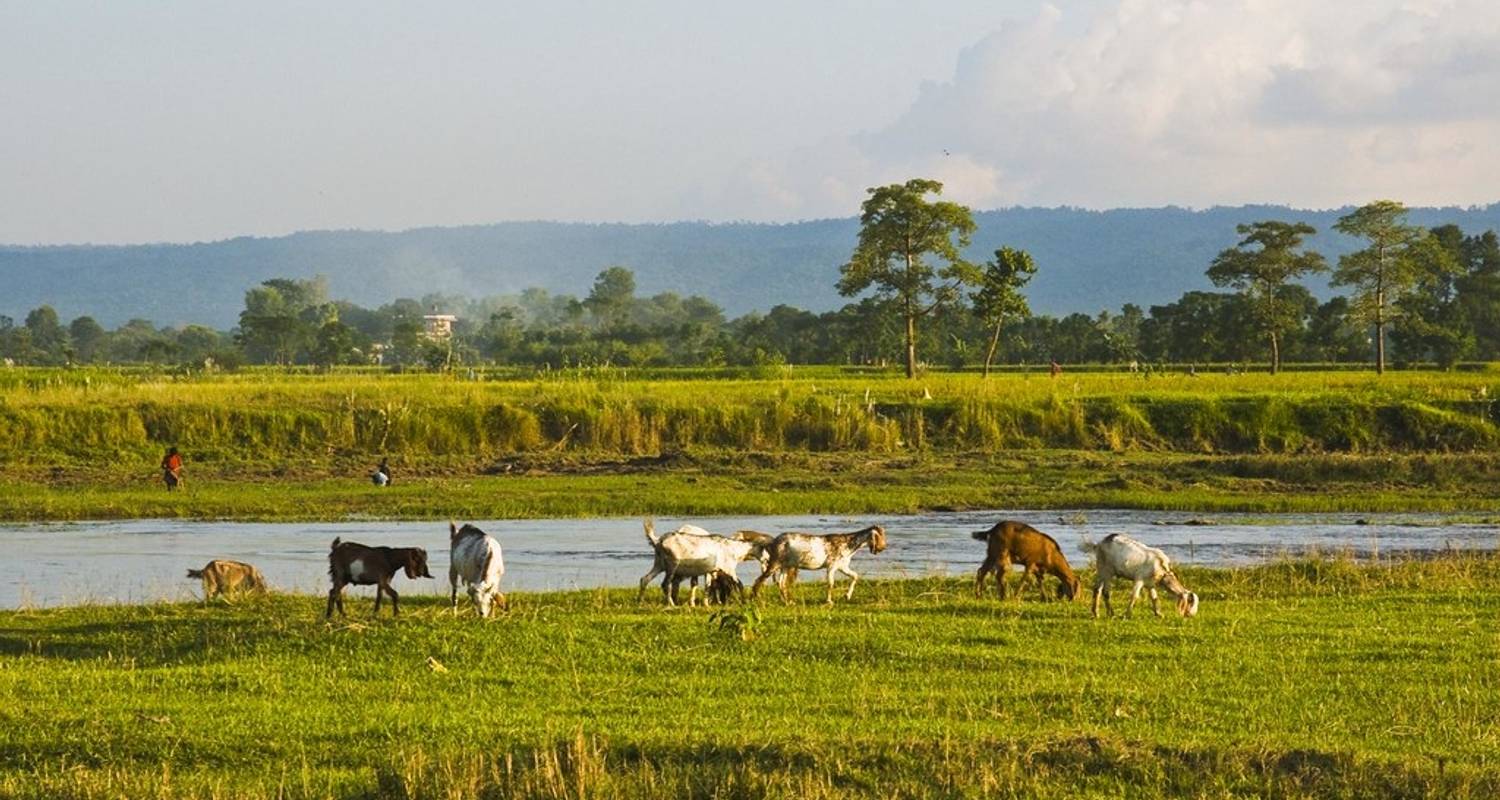 6 days Homestay Short Hike to Chepang Village - Trekking Top Nepal