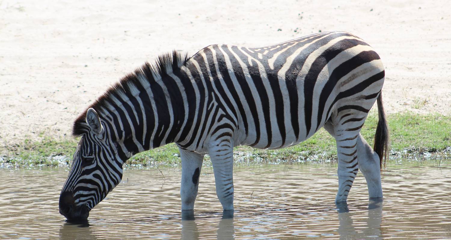 Classic Namibia Circle - 12 Days - Southern Tours and Safaris
