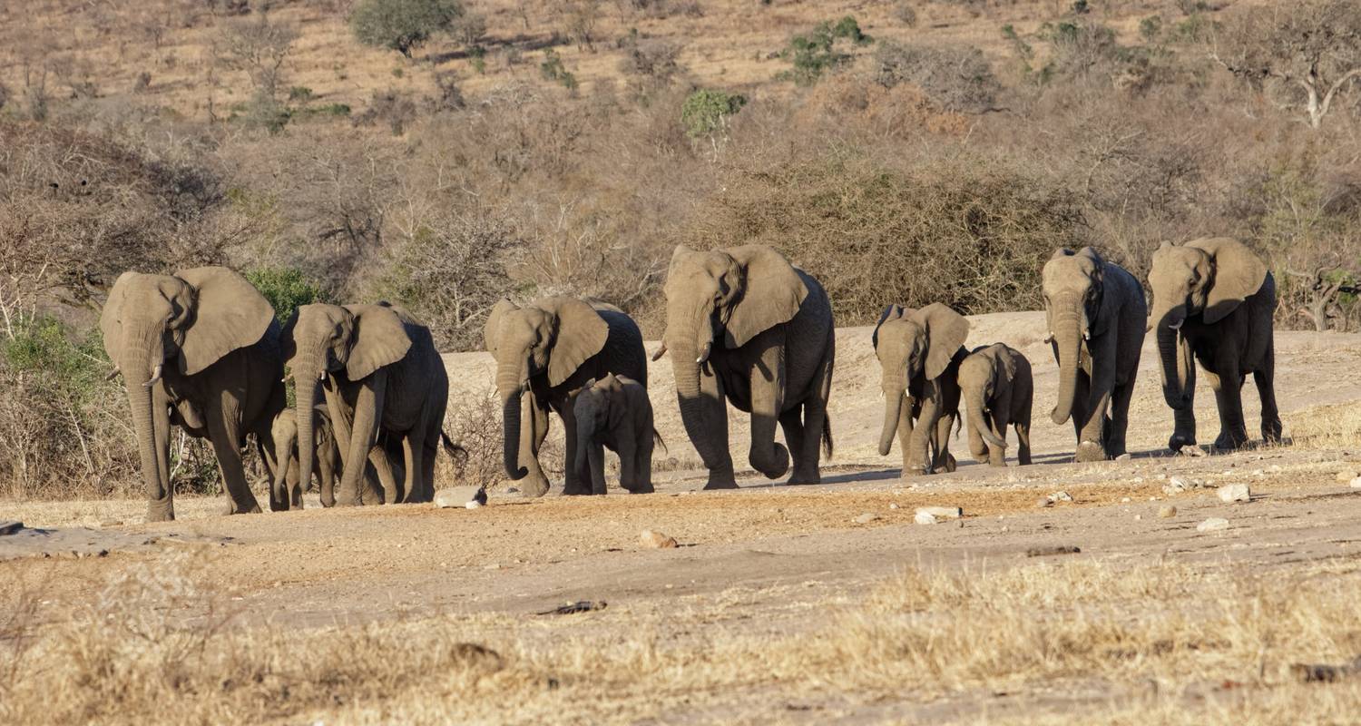 13 Days Freedom & Battlefields Route - South Africa - Southern Tours and Safaris