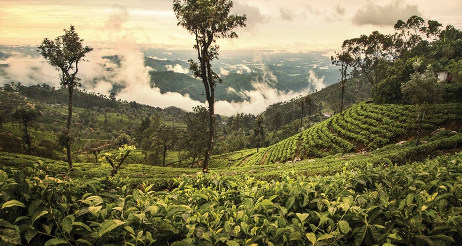 Explore your dream - Aziz Travels