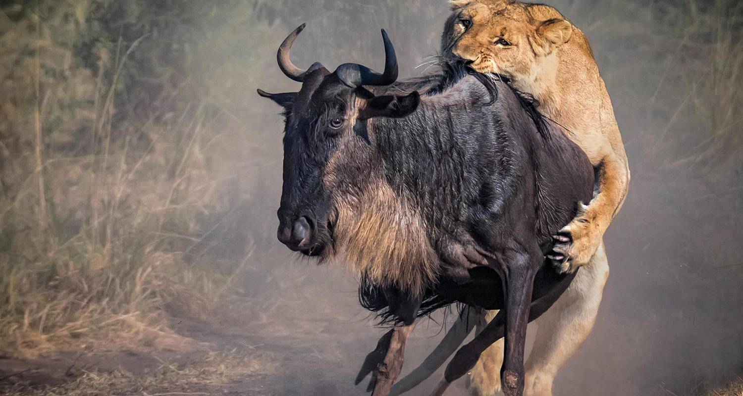 3 Days Maasai Mara Safari - Ultimate African Safaris