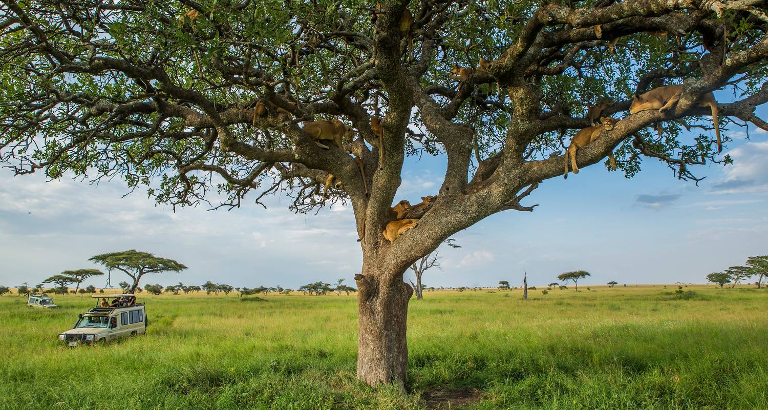 Tanzania Family Journey: A Serengeti Safari - G Adventures