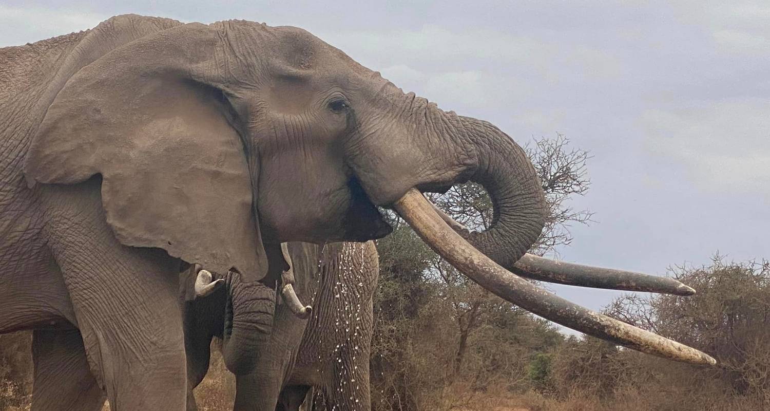 Nature & Wildlife Tours & Trips in Tanzania