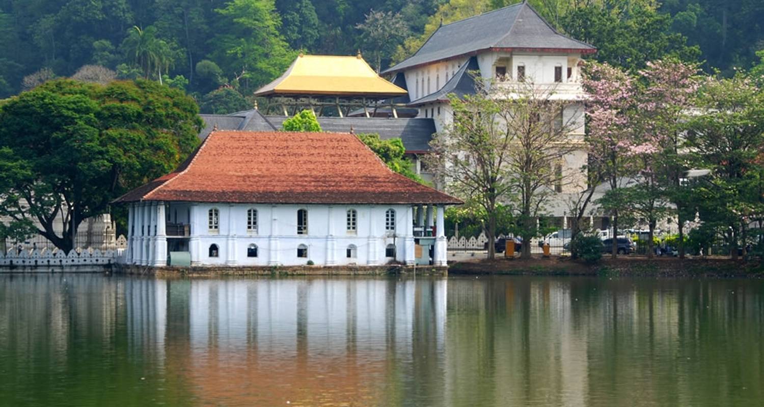 Season Best Offer - Aziz Travels