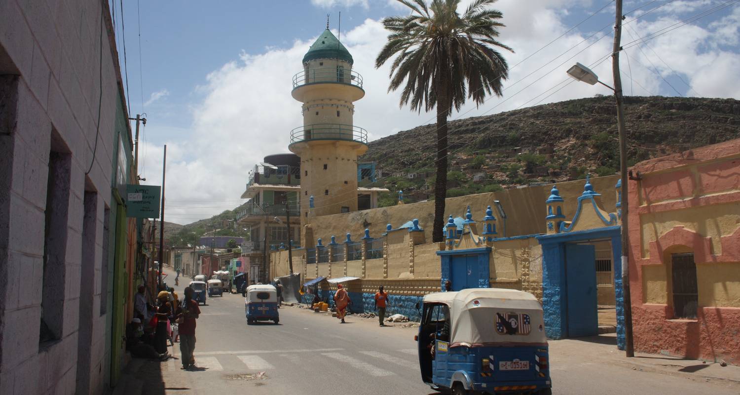 Eastern Ethiopia Tour - Black Kite Tour