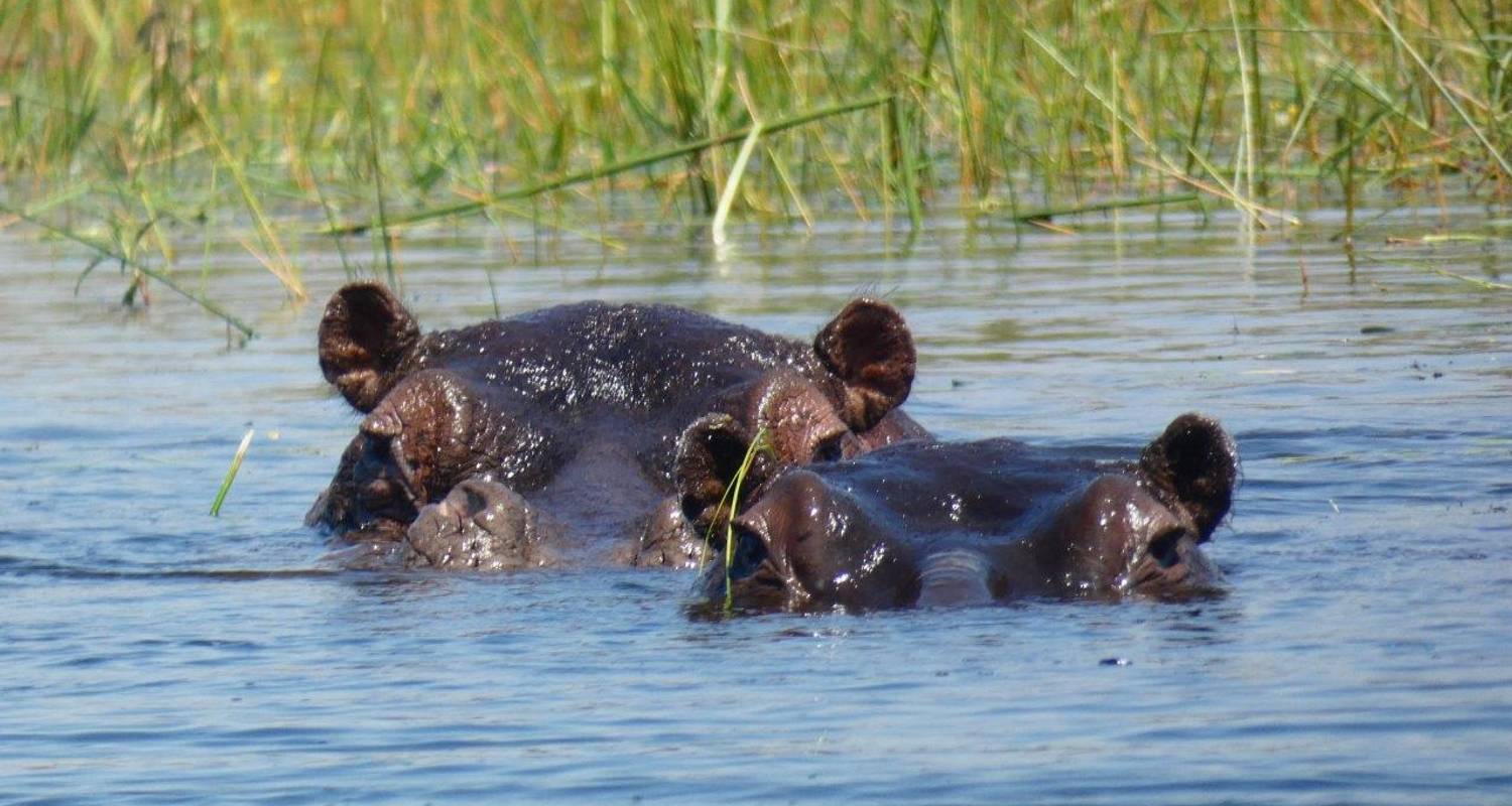 Botswana and Vic Falls Selection Adventure - Serval Safaris