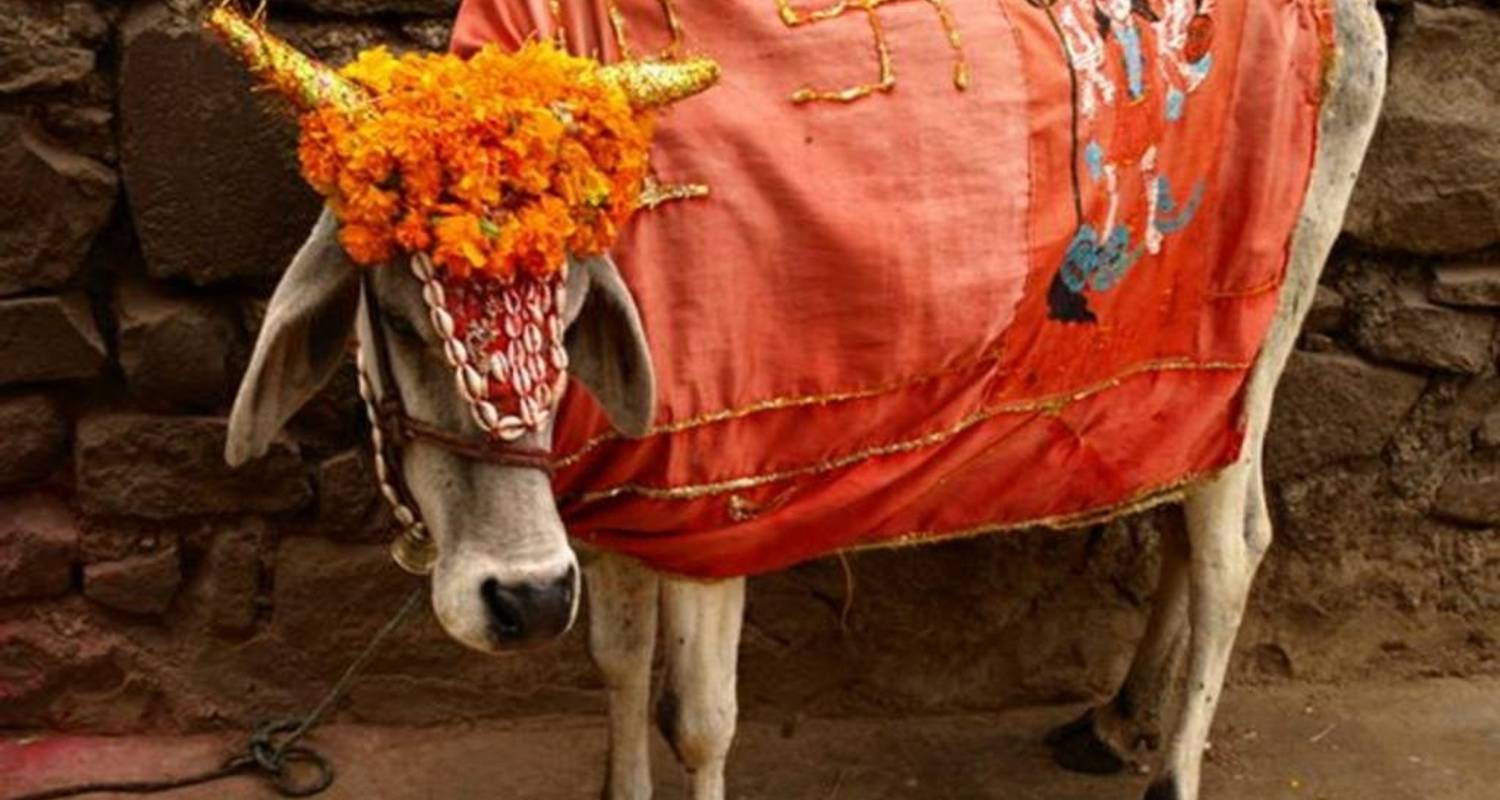 From Delhi : 4 Days Tour of Delhi-Agra & Jaipur - India Arrivals Tours