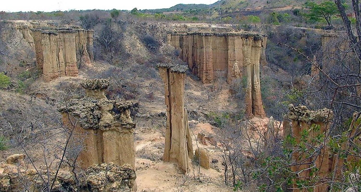 7 Tage Südtansania Geführte Safari nach Selous, Mikumi und Ruaha Package - Adventure Makers Tanzania