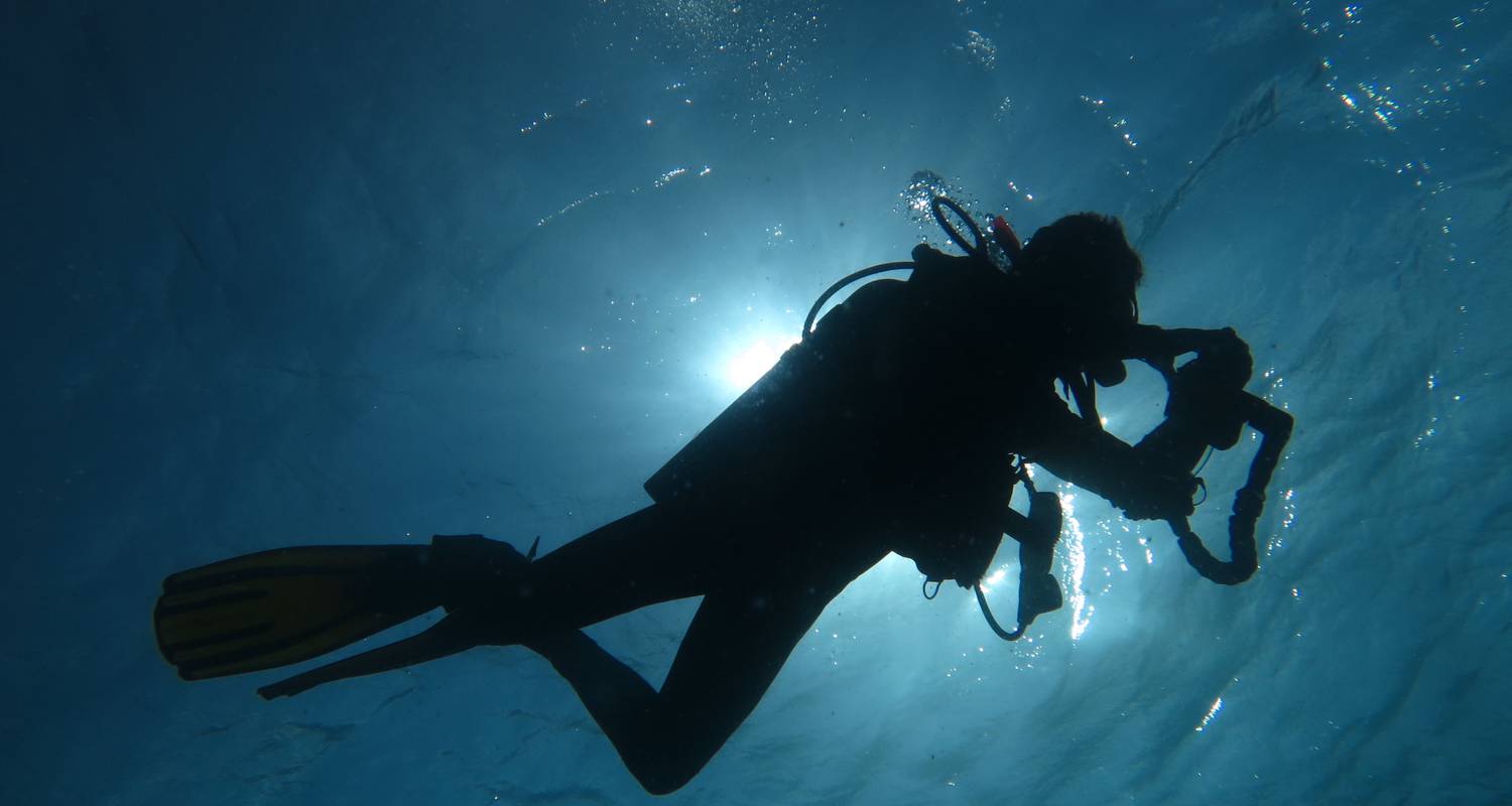 Maldives Budget Travel - South Ari Dive