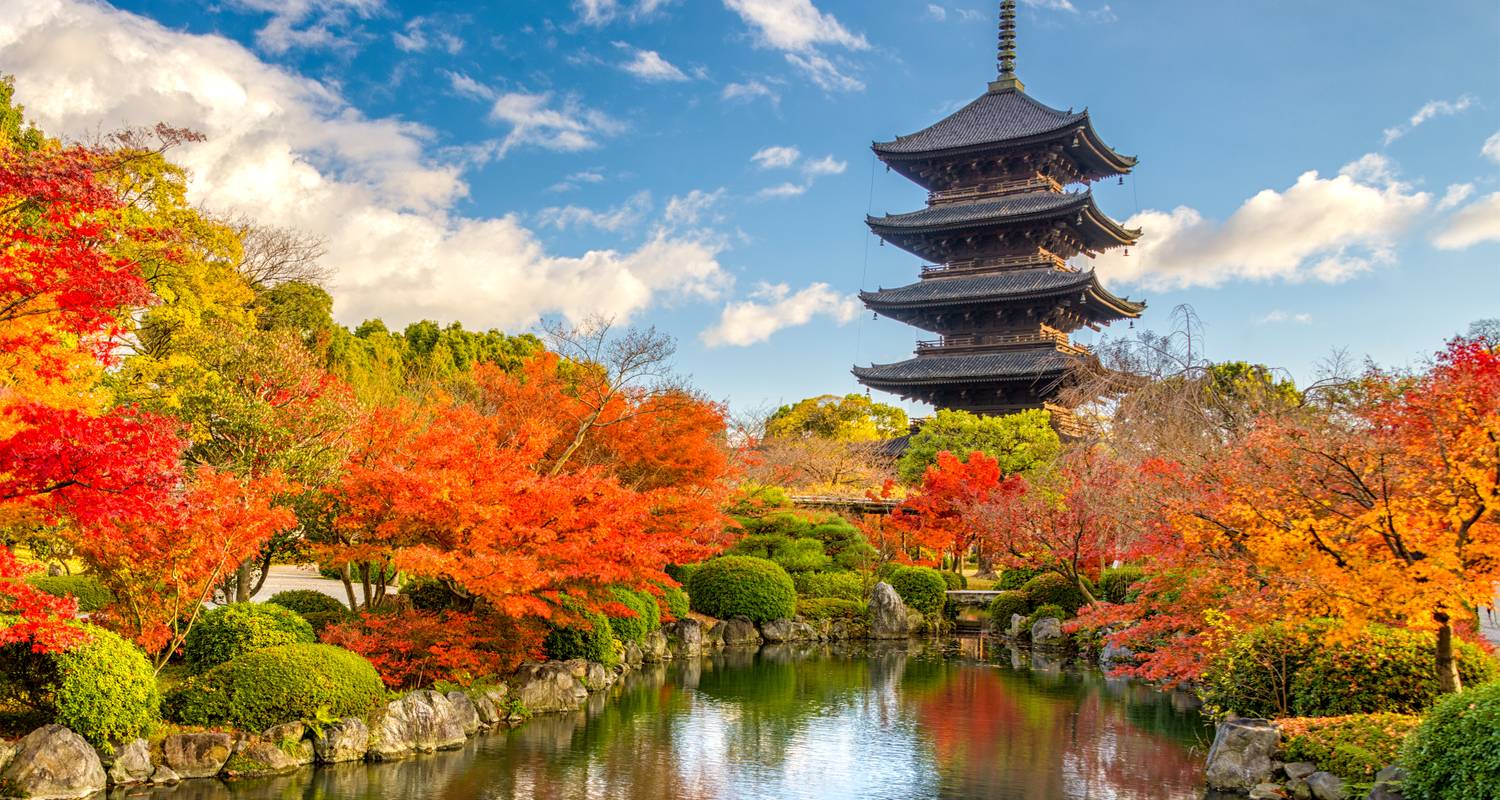 Japan: Land of the Rising Sun (from Tokyo to Kyoto) - Intrepid Travel