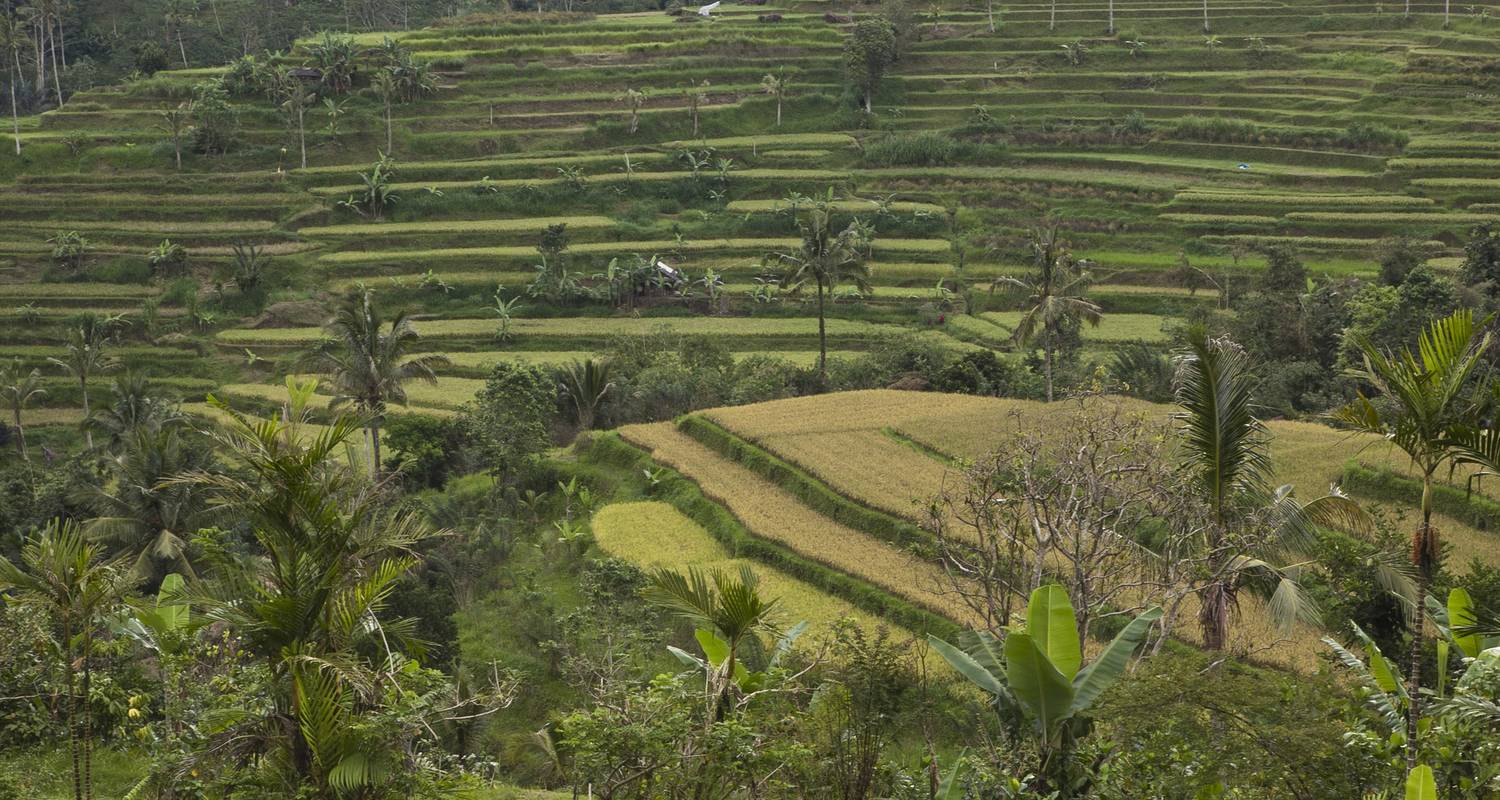 Around Bali - 8 Days - Tour East Indonesia