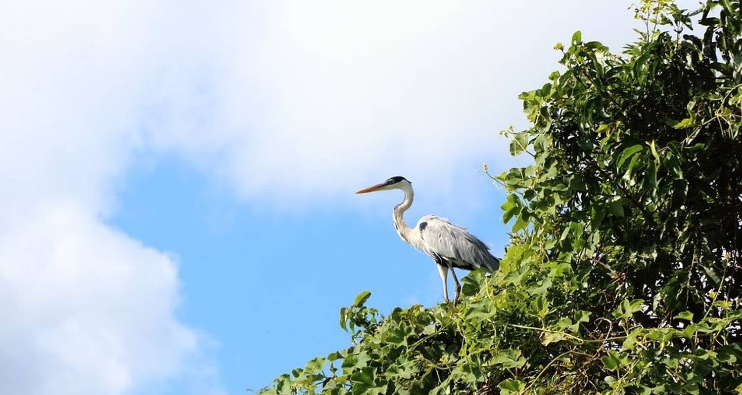 Aqua Nera 3-Nights High Water (Iquitos to Nauta) November to May - Aqua Expeditions