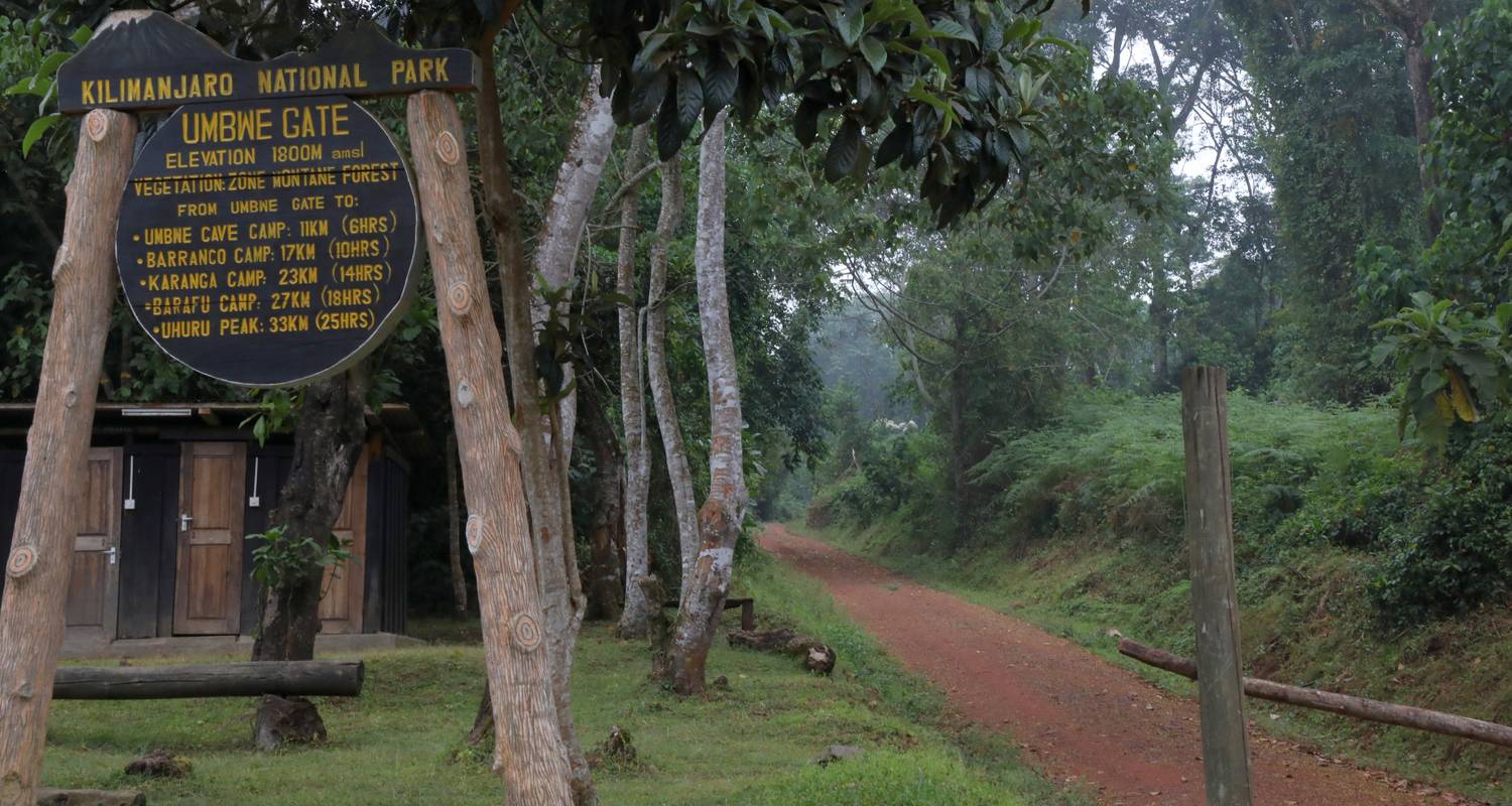 Kilimanjaro Trekking: 6 Days on the Umbwe Route - Goldfish Tours
