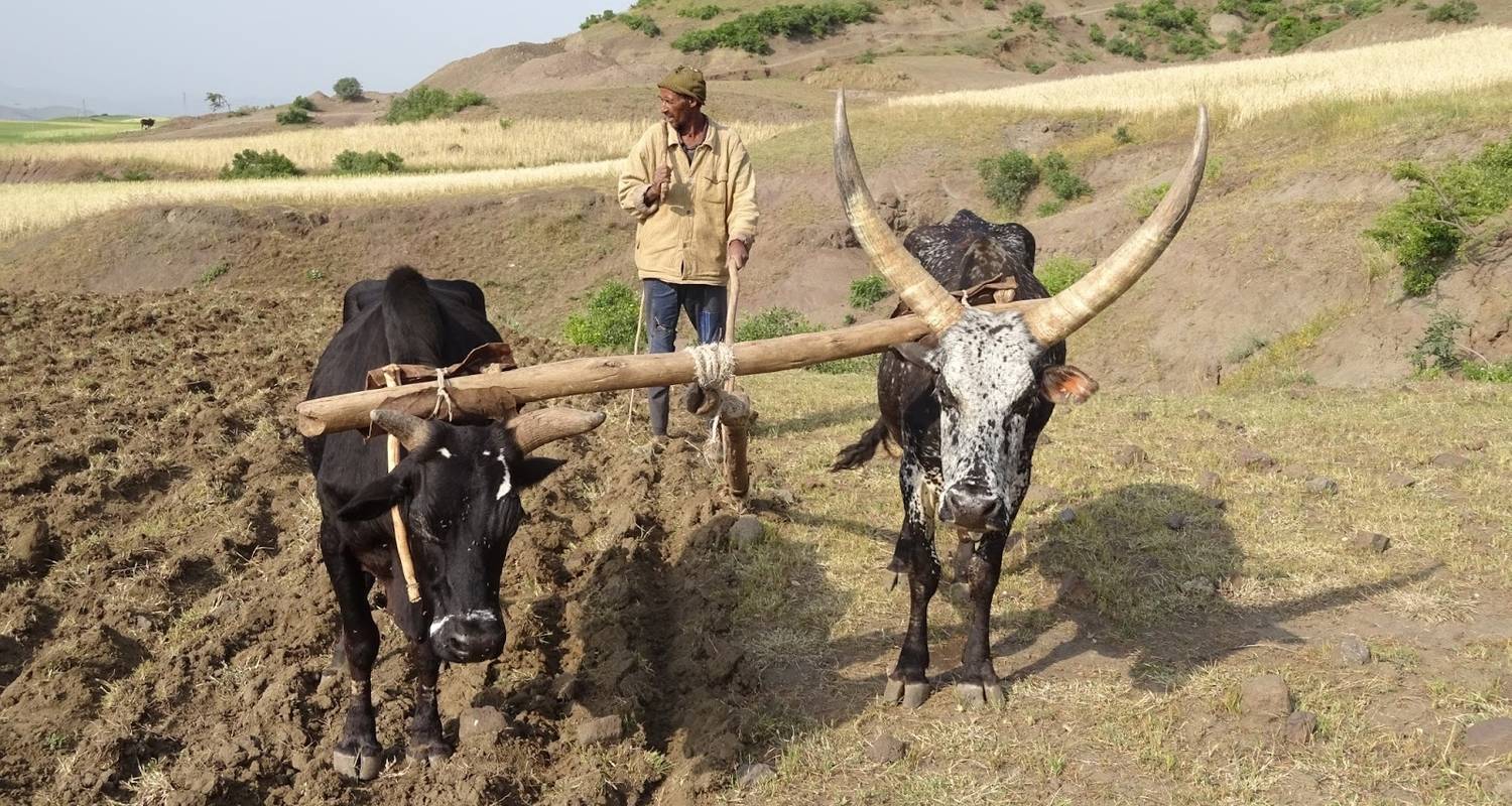 Excellent trek and exploration of Ethiopia - Tankwa Tours and Travel Agency