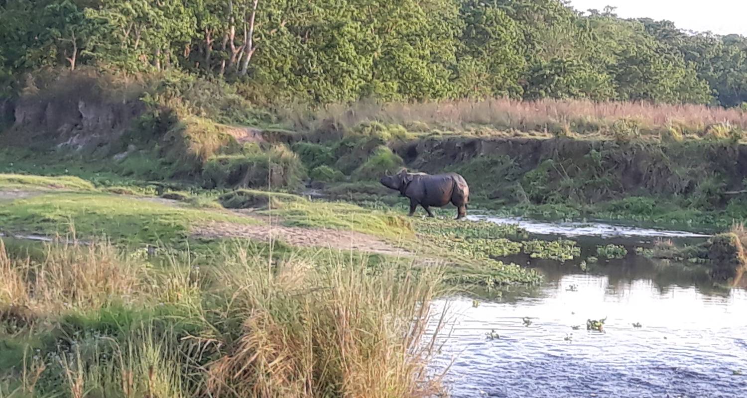Kathmandu Kultur und Bardia Nationalpark - Eve Holidays