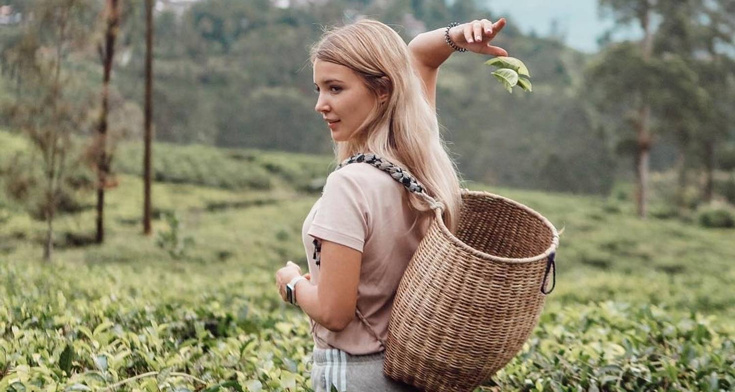 A Week in Sri Lanka - Panoramic Tour & Travels