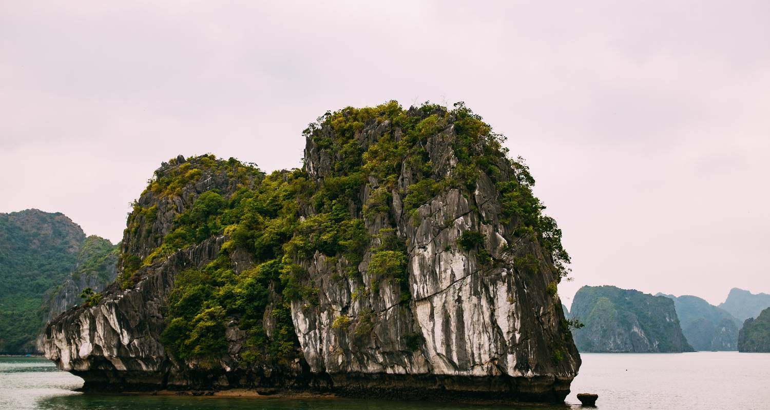 Vietnam 7 days with the highlights of Hanoi, Da Nang, Ha Long Bay - Indochina Tours Booking Co., Ltd