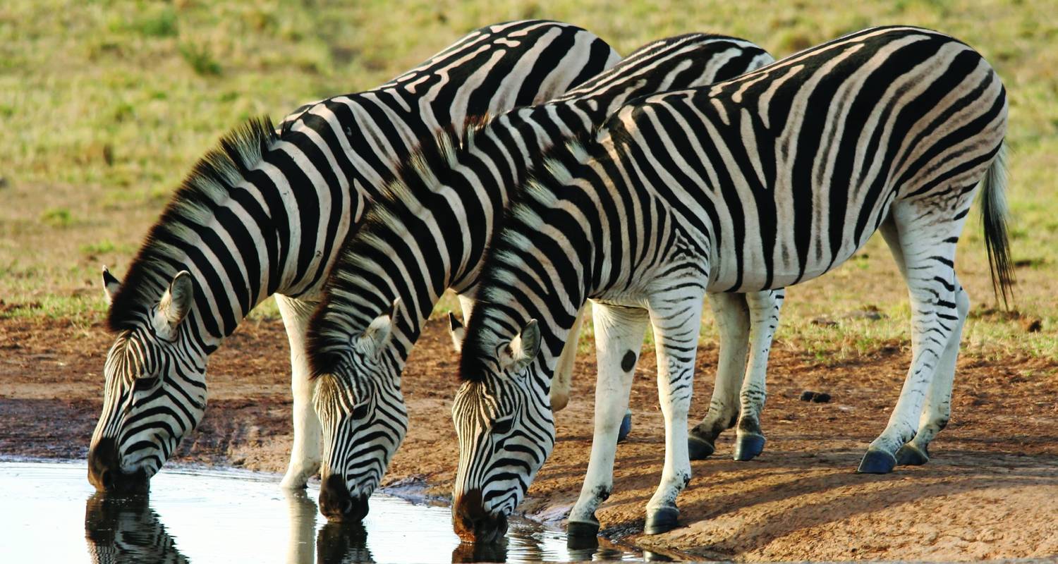 Exploring South Africa, Victoria Falls & Botswana (Cape Town to Chobe) - Collette