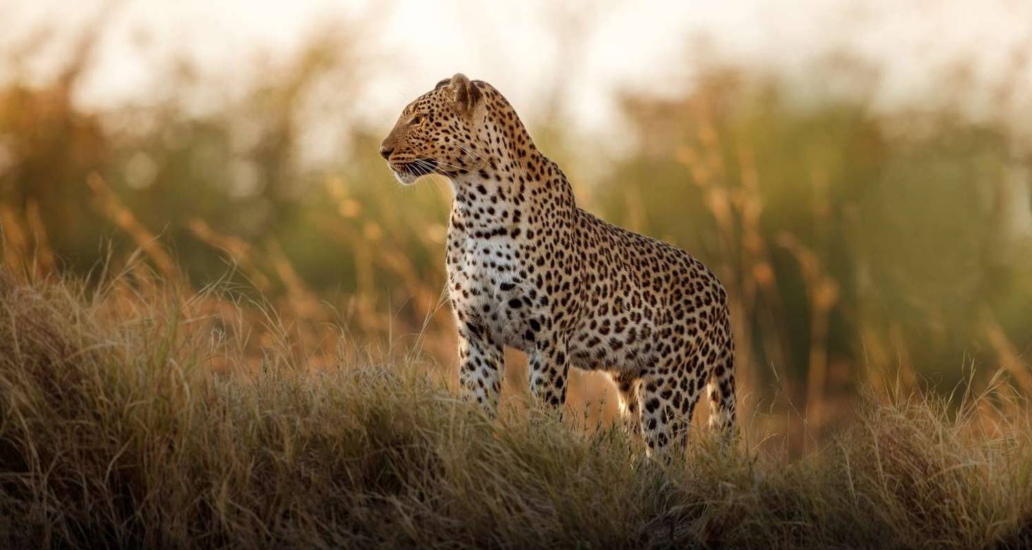 5 Days / 4 Nights Join Group Safari - TaraLight Safari Tours