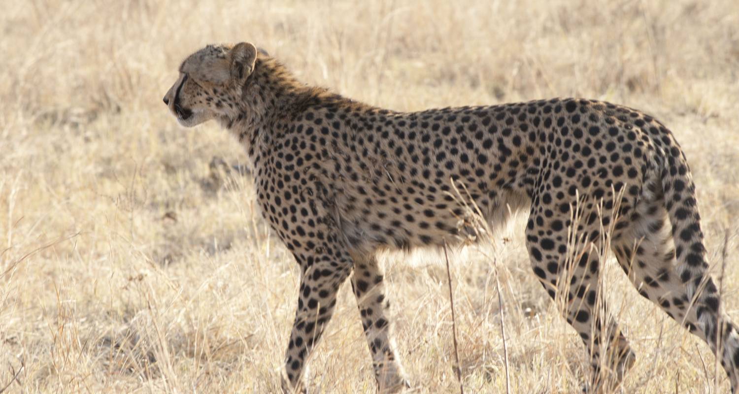 Chobe 1 Night 2 Days - Pearls Tours